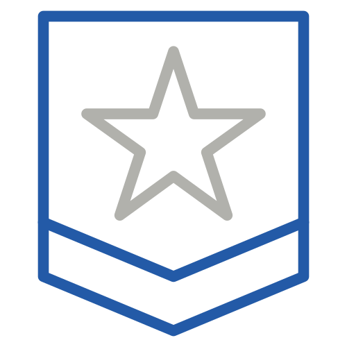 Military Chevron Badge Icon